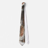 CRAVATE ML2 (voir note) (Devant)