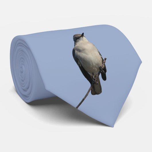 Cravate Mockingbird (Roulé)