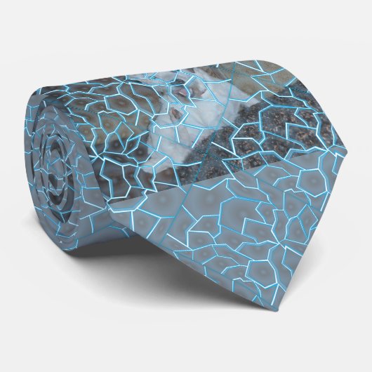 Cravate Modèle photo craqué (Roulé)