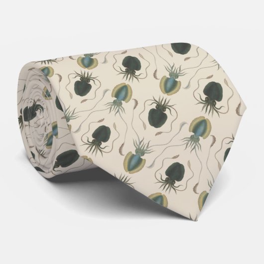 Cravate Mollusques d'astrolabe (vert) (Roulé)