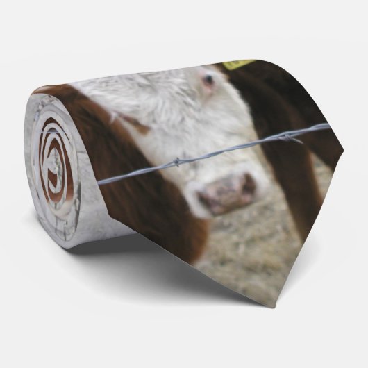 Cravate mOov il je vous dis ! (Roulé)