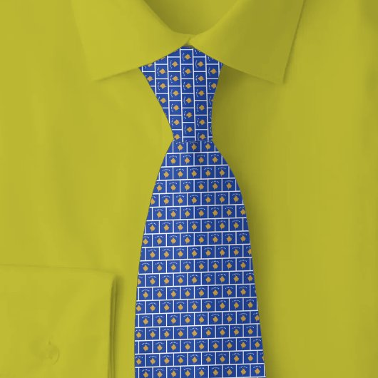 Cravate Motif de brique du drapeau du Kosovo