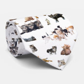 Cravate Motif mignon avec des photos de Chats et chatons (Roulé)