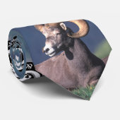 Cravate Mouflons d'Amérique de montagne rocheuse (Roulé)