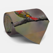 Cravate Moulage de Tangère - Photo originale (Roulé)