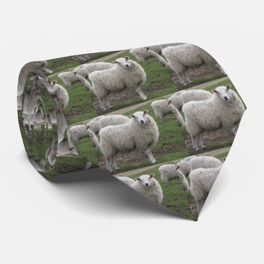 Cravate Moutons de Cheviot (Roulé)