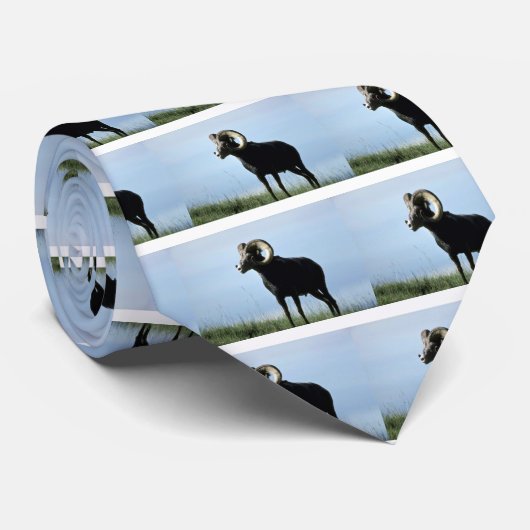 Cravate Moutons en pierre (grande RAM) (Roulé)