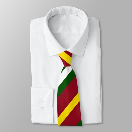 Cravate multicolore de NUP (Attaché)