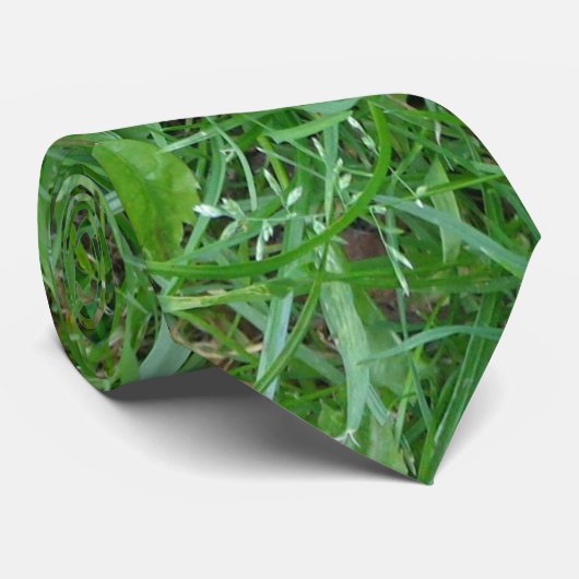 Cravate naturelle (Roulé)