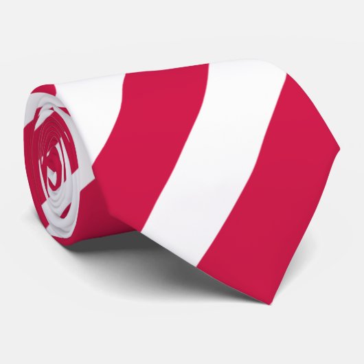 CRAVATE NAVA 57 (Roulé)