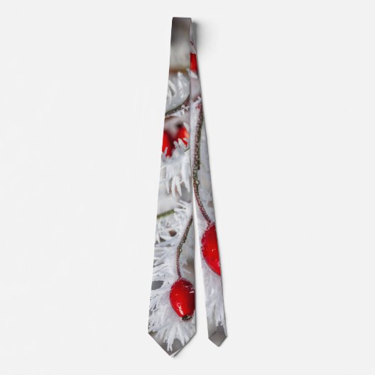 Cravate Neck Tie (Devant)