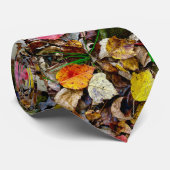 Cravate Necktie / feuilles d'automne (Roulé)