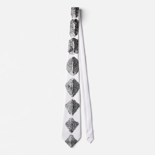Cravate Necktie - SCUTES Sturgeon Énorme (Devant)