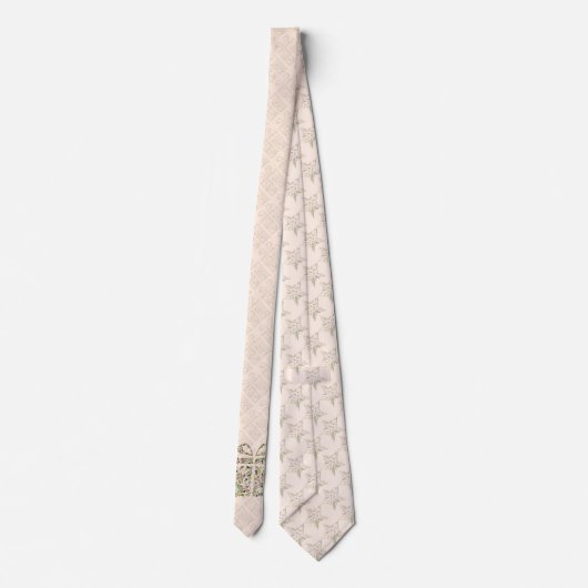 Cravate Necktie - Toscane Box & Bow (Dos)
