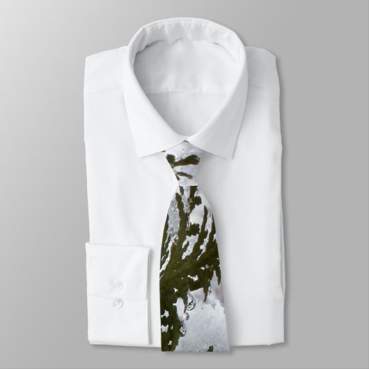 Cravate Neige sur les branches À feuillage persistant (Attaché)