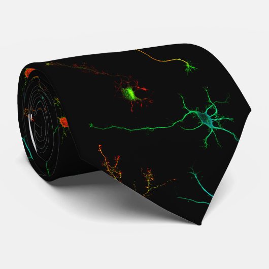 Cravate NeuroStage3 Tie (Roulé)