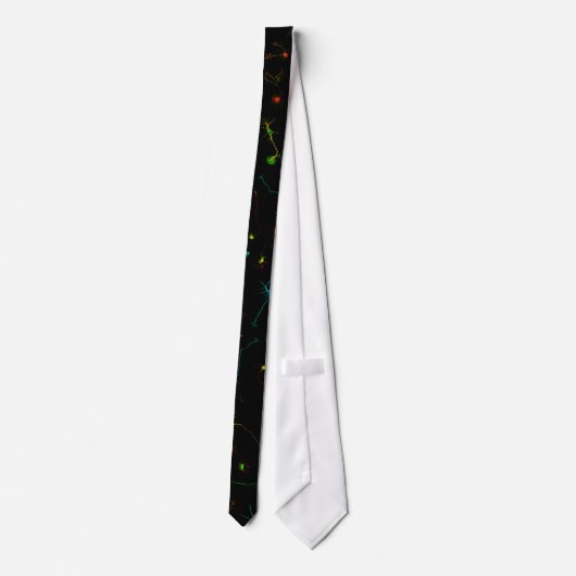 Cravate NeuroStage3 Tie (Dos)