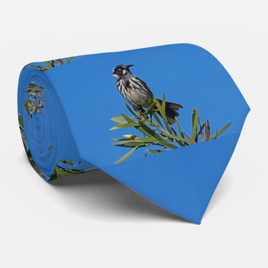 Cravate New Holland Honeyeater (Roulé)