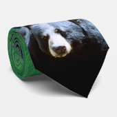 Cravate nord-américaine d'ours noir (Roulé)