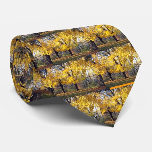 Cravate Norvège Maples (Roulé)