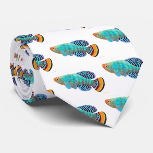 Cravate Nothobranchius Rachovii Killifish (Roulé)