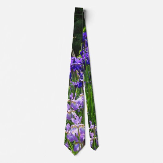 Cravate nuances de pourpre iris (Devant)