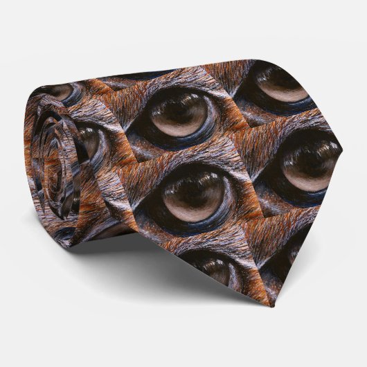 Cravate Oeil de Fugley (Roulé)