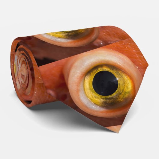 Cravate OEil des Rocheuses (Roulé)