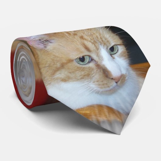 Cravate Oeil du chat (Roulé)