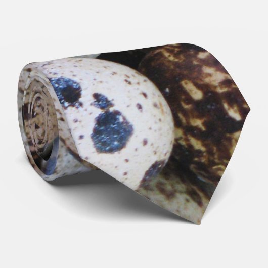 Cravate Oeufs de caille (Roulé)