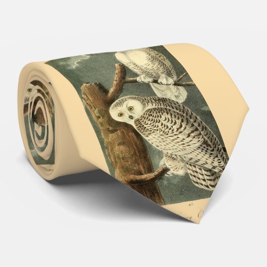 Cravate OEuvre d'OEuf Audubon (Roulé)