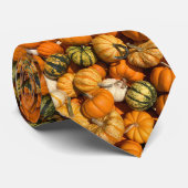 Cravate Oh Mon Gourd (Roulé)