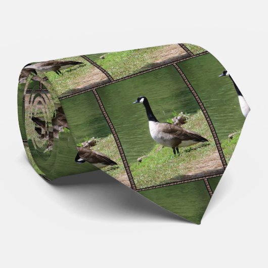 Cravate Oies canadiennes (Roulé)