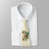 Cravate Oiseau à gorge rubis, Audubon Oiseaux Amérique (Attaché)