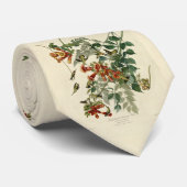 Cravate Oiseau à gorge rubis, Audubon Oiseaux Amérique (Roulé)