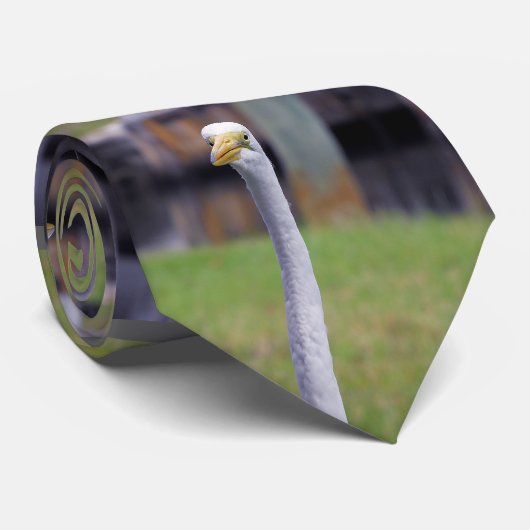 Cravate Oiseau à long cou (Roulé)