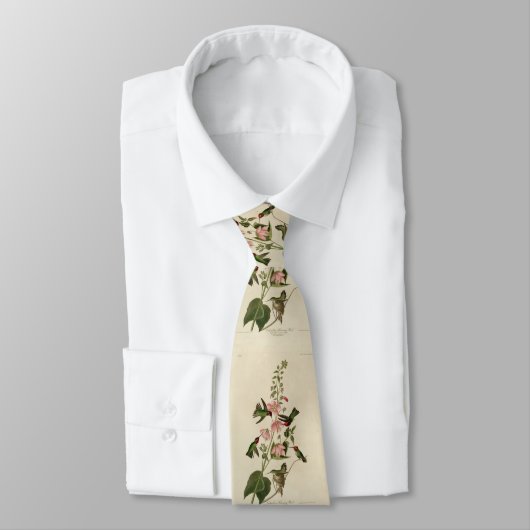 Cravate Oiseau de Humming - Oiseaux d'Audubon (Attaché)