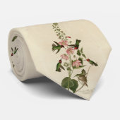 Cravate Oiseau de Humming - Oiseaux d'Audubon (Roulé)