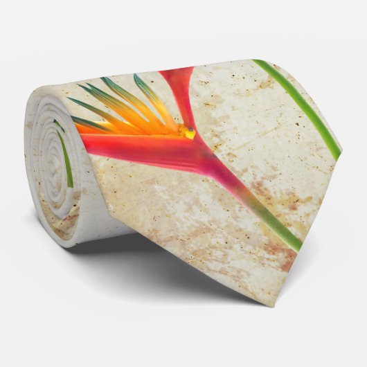 Cravate Oiseau du Paradis (Roulé)