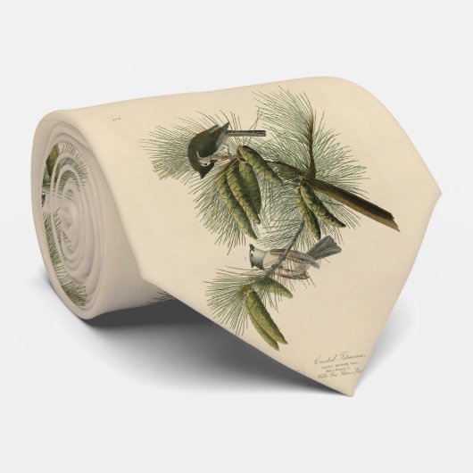 Cravate Oiseaux d'Amérique à pois (touffus) (Roulé)