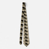 Cravate Oiseaux d'Amérique à tête blanche (aigle à tête bl (Dos)