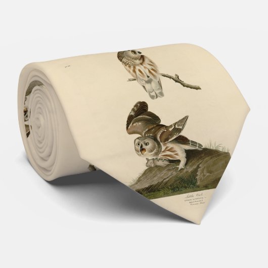 Cravate Oiseaux d'Amérique d'Audubon (Roulé)