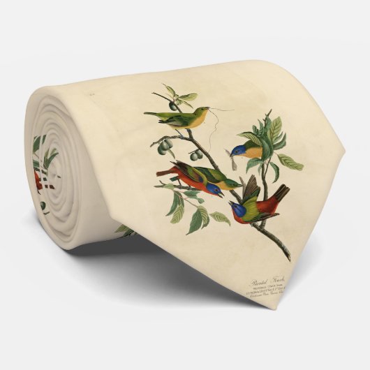 Cravate Oiseaux d'Amérique d'Audubon (Roulé)