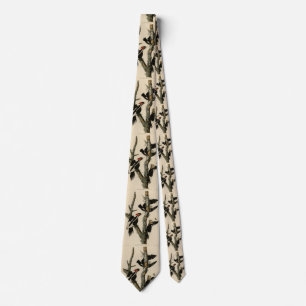 Cravate Oiseaux d'Amérique du pic à l'ivoire