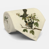 Cravate Oiseaux de chats (Colibri gris) Oiseaux d'Amérique (Roulé)