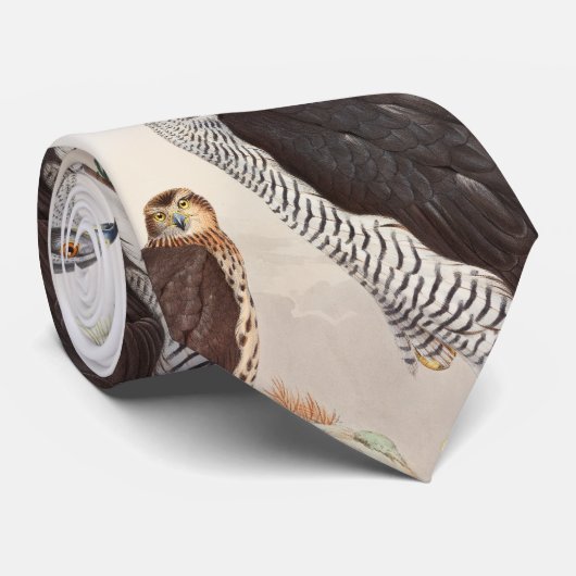 Cravate Oiseaux de John Gould d'autour de faune de la (Roulé)
