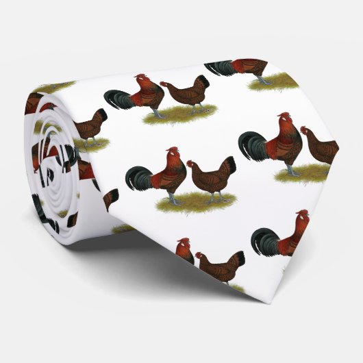 Cravate Old Anglais Pheasant Fowl (Roulé)