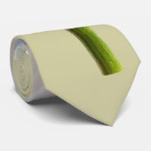 Cravate Ombre et lumière margueuse (Roulé)