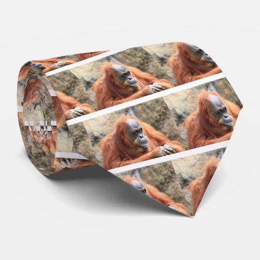Cravate Orang-outan (Roulé)