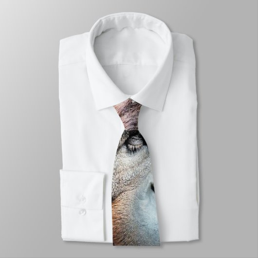 CRAVATE ORANGUTANS (Attaché)